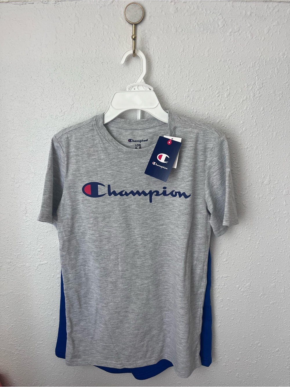 Champion Royal Blue Athletic Shorts with Gray Heather Tee